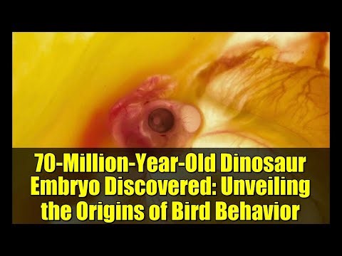 70-Million-Year-Old Dinosaur Embryo Discovered: Unveiling the Origins of Bird Behavior