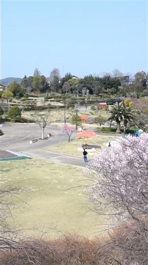 【一華総観】【阿久比町】【30秒動画】ふれあいの森の桜
