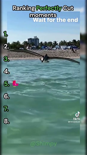 Ranking Perfectly Cut Moments