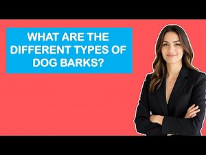 What are the different types of dog barks?