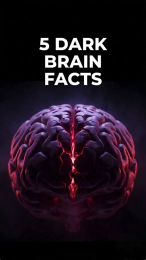 5 Dark Brain Facts You Were Never Supposed to Notice 🧠😳