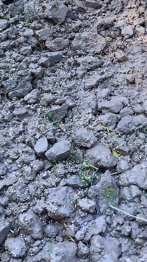 Want to keep your rabbit happy & healthy? 🐰 Here’s an important rabbit care tip you must know! . Stay tuned for more bunny care tips and don’t forget to Like, Share & Follow!❤️✨ . #RabbitsCare #RabbitShorts #BunnyLover #RabbitTips #PetRabbit #BunnyCare #CuteRabbit #AnimalLover #RabbitFood #ShortsFeed #ShortsVideo #RabbitShortsViral #RabbitShorts #BunnyLife #PetCareTips #FluffyBunny #ViralShorts #TrendingPets | Loading The Hobbiest