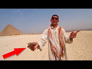 Avoid This Scammer at the Pyramids 🇪🇬 Egypt