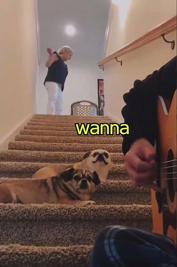 Marino - I’m sorry mom #music #viral #marino #imsorrymom #treanding #famous #foyou #viralsong