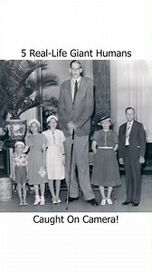 6K views · 73 reactions | 5 Real Life Giant Humans Caught On Camera! | Safari Sarraah | Facebook