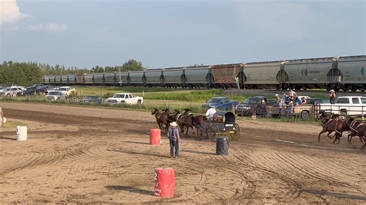 9.5K views · 73 reactions | July 6,2024 Sheho Kevin barrel 1 (white) with Pheenix Performance | Gareau Chuckwagon Racing Team | Facebook