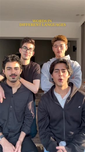 453K views · 4.1K reactions | Words in different languages  | Mustafa Rehman Babar | Facebook