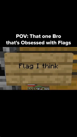 Minecraft Flag Moment