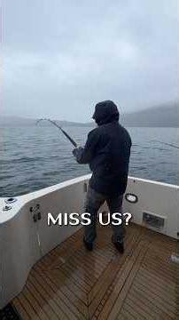 Miss Us? We've Been Fishing! #alaskafishing #charterfishing #halibut