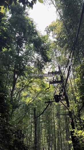 ❤️#opentripjepang #travelingjapan #japan #explorejapan