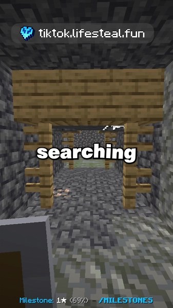 Nude Lifesteal Minecraft Server Experience