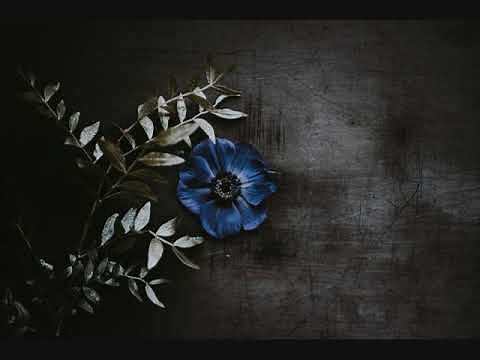 Maria Daines ~ That's What The Blues Is All About