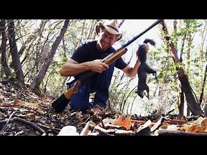 Winter Squirrel Hunt + Catch and Cook!