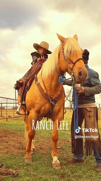 Fall Branding at Big Rock Ranch: A Cowboy Experience