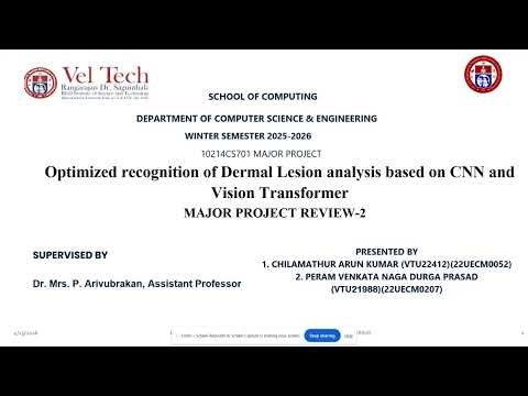 Optimized Dermal Lesion Recognition Using CNN and Vision Transformer