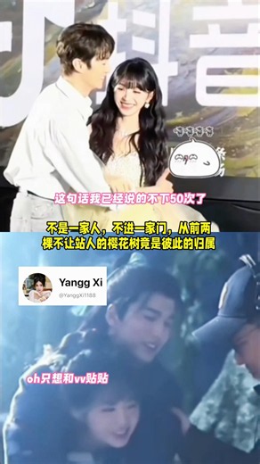 不是一家人，不进一家门，从前两棵不让站人的樱花树竟是彼此的归属 #张凌赫 #zhanglinghe #tianxiwei #田曦薇 #viralvideo