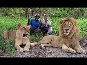 The Lion Walk at Fathala Wildlife Reserve/Senegal: with THE DEE'S