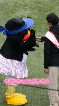 つばみ 愛しのグッチさんのライブ配信登場！三輪はどっか行って！？ #swallows #つばみ #つばみちゃん #スワローズファン感2025 #ヤクルトスワローズ #坂口智隆