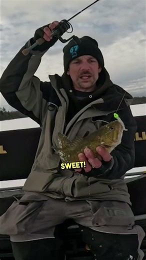 FINALLY a NICE SMALLIE! @bassproshops @Cabela-s #fishing #fish #bass #teamoutdoors #fypviralシ