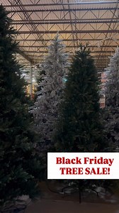 🎁 Black Friday Tree Sale 🎁 There’s no better time to bring home your dream tree. For two weeks only, every Treetime Christmas tree is on sale — so you can decorate beautifully and save big before the season begins. Save $50 off $299 , $75 off $599 , and $100 off $799 through Nov 30. Don’t miss out on the biggest savings of the year! | Treetime Christmas Creations