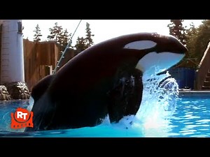 Free Willy - Willy's a Very Special Whale