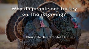 1.2K views · 12 reactions | Are your kids wondering: “Why do people eat turkey on Thanksgiving?” This question came from Charlotte, a student from the US. Like, share and vote on next week's question here: https://mysterydoug.com/vote | Mystery Doug | Facebook