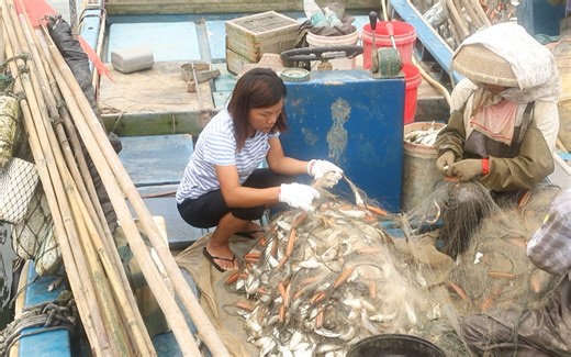 这样的渔民生活了解吗？凌晨3点出海，辛苦收获上百斤鱼卖不出去