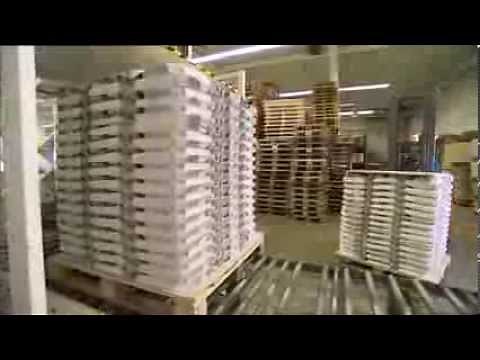 Eurosac The paper sack manufacturing process