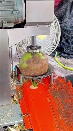 automatic machine peeling green coconut shell efficiently