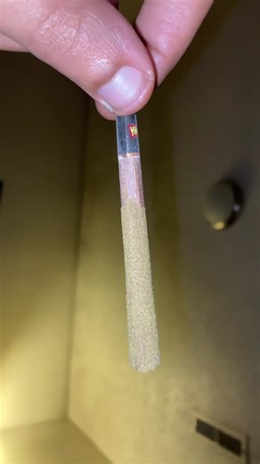 Time to visit the ancestors