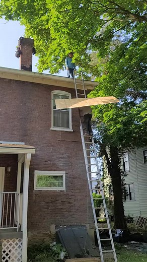 Home Improvement Project: Man Climbing Ladder