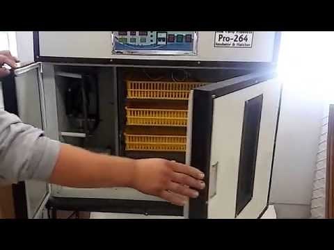 Rite Farm Products Pro Cabinet Incubator Startup Instructions