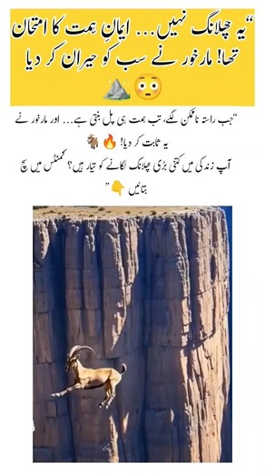 “This Is Not Just a Jump… It’s Pure Courage in Action! 😳⛰️🐐”