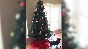 ABC13's anchors and reporters show their holiday spirit