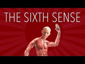 Your Sixth Sense - The Science of Proprioception