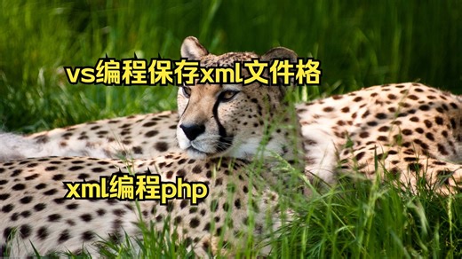 vs编程保存xml文件格式 xml编程php XML开发技术教程