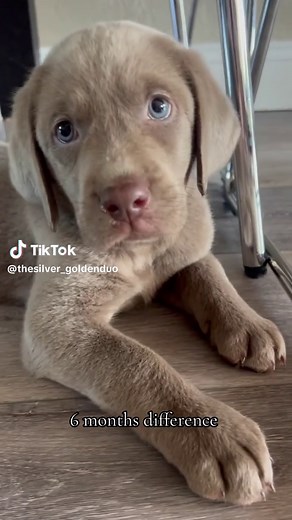 Stormi + Abby on TikTok