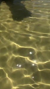 Jason Travis on Reels