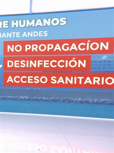 Brote de hantavirus variante Andes: cómo se contagia y riesgos