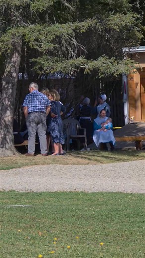 778K views · 9.6K reactions | Amish wedding season in the community...