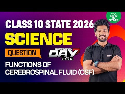 📑Question Of The Day❓Functions of Cerebrospinal Fluid (CSF) | Class10 Biology | Xylem State 10 Tamil