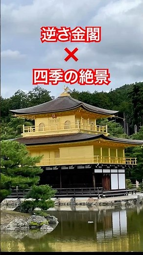 黄金の絶景！金閣寺と鏡湖池に映る“もう一つの世界” #金閣寺 #鏡湖池 #逆さ金閣 #京都観光 #世界遺産 #足利義満 #日本庭園 #絶景スポット VOICEVOX:四国めたん