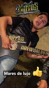 Requinto mares de lujo Los Morros Sierreños 🔥