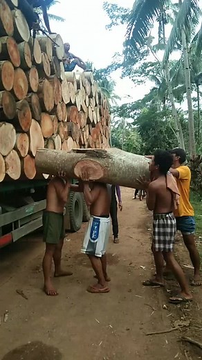 Loading Logs: Strength and Coordination in Action
