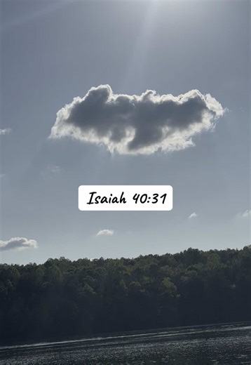 Beautiful signs are all around 😎😎 #eagle #signsfromtheuniverse #peace #beauty #adventureawaits