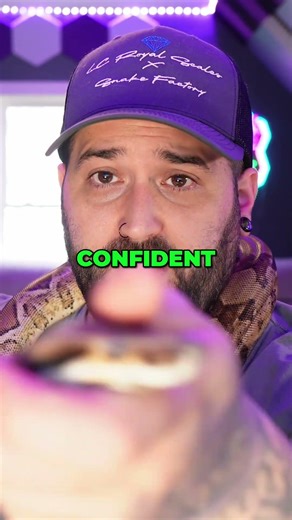 Boas vs. Ball Pythons: Debunking Aggression Myths! #shorts