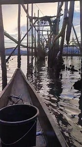 Nangatuloy ang Bangus #oliveraligato #huntingfishing #catchingfish | Oliver Martel Aligato