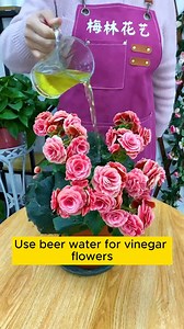 501K views · 3.1K reactions | Flower growing tips #gardening #gardentools #gardeningtools #tool #tools #gardeningmakemehappy #handtools #cooltools #satisfying #gardeners #gardeninspiration #gardening #trees #tree #treesofinstagram #treestreestrees #treestagram #gardeningtips | Gardening love | Facebook