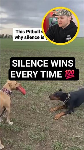 This is a great example of classical dog behavior in action.