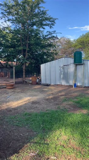 Processing 10 Chickens: Farm to Table Breakdown | Homestead Life”#southafricanhomesteaders #homestead #southafricanfarmers #chicken #homemade #farmlife #farm | Cate & Ntokozo